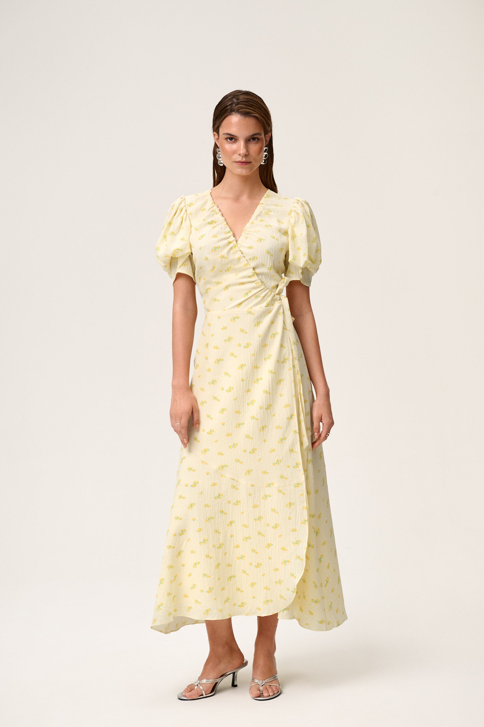 Ferrone Midi Dress image