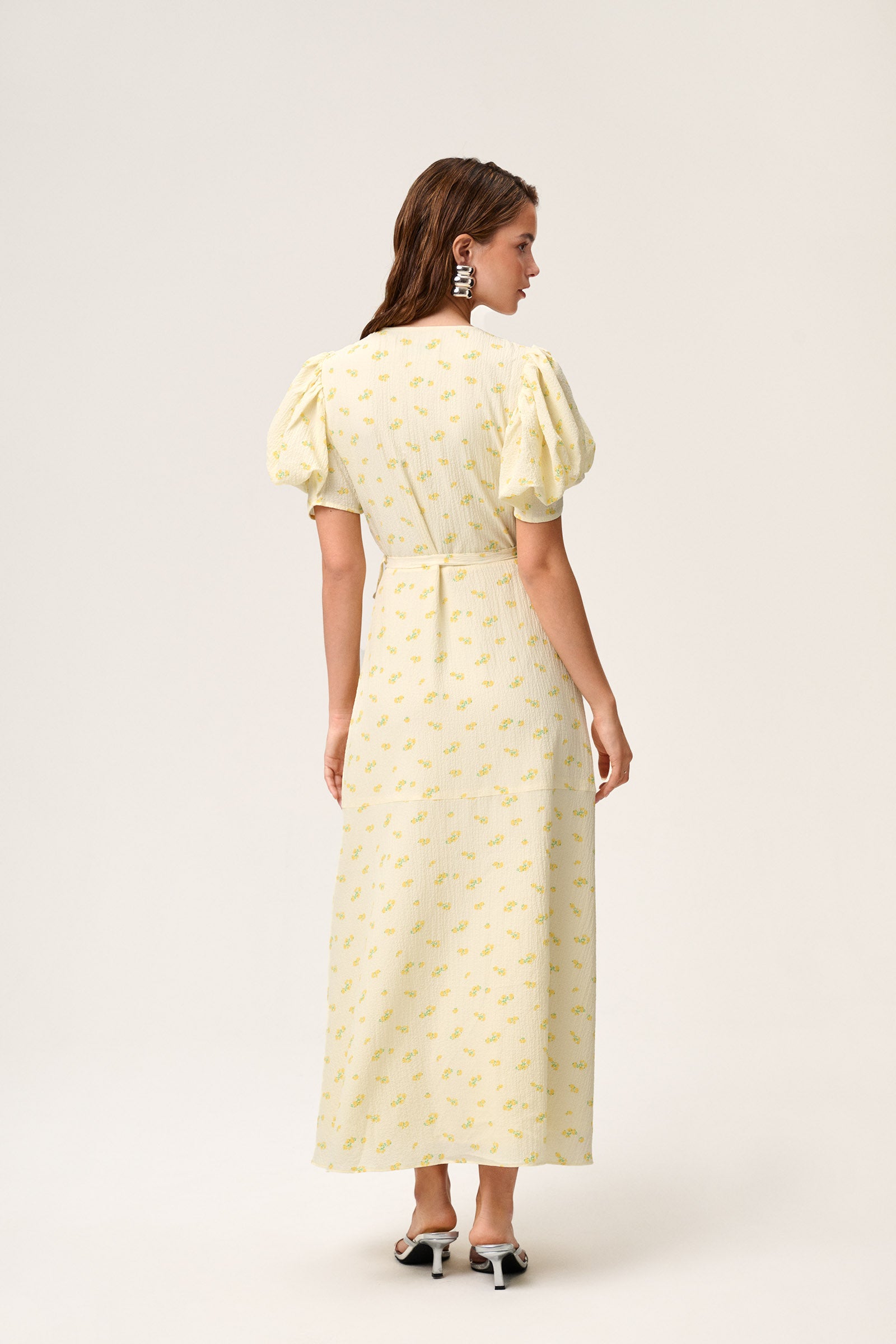 Ferrone Midi Dress image