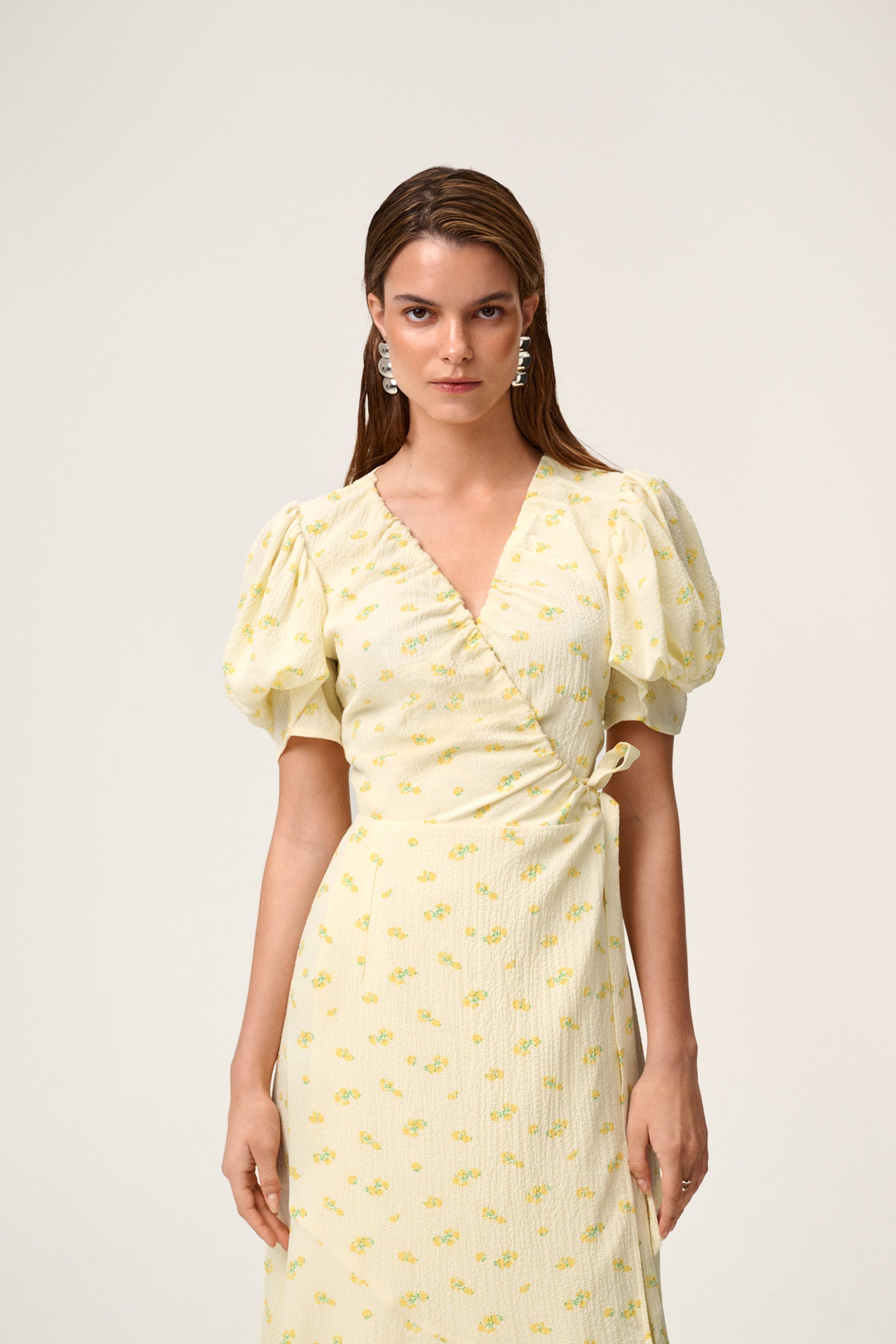 Ferrone Midi Dress image