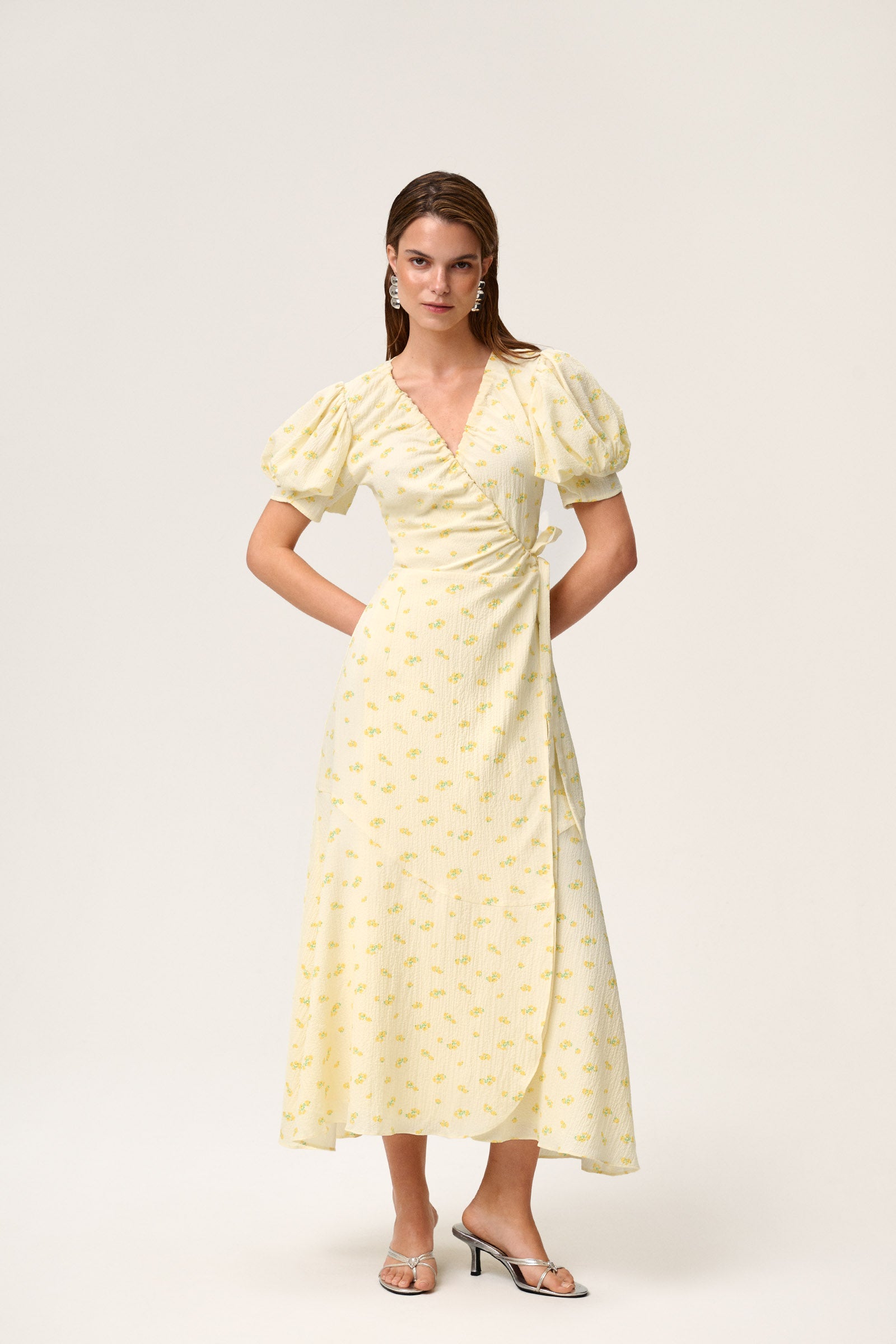 Ferrone Midi Dress image