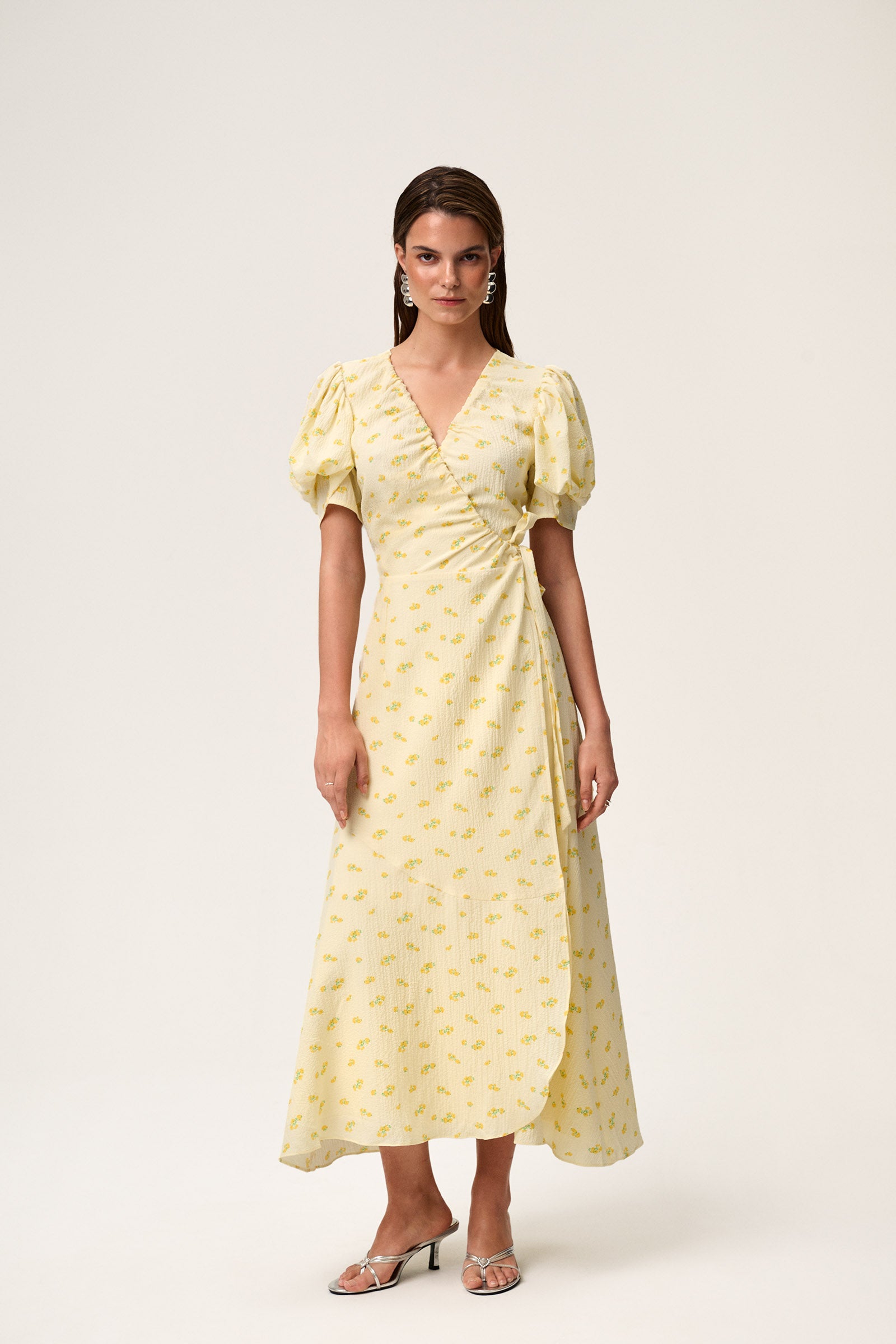 Ferrone Midi Dress image