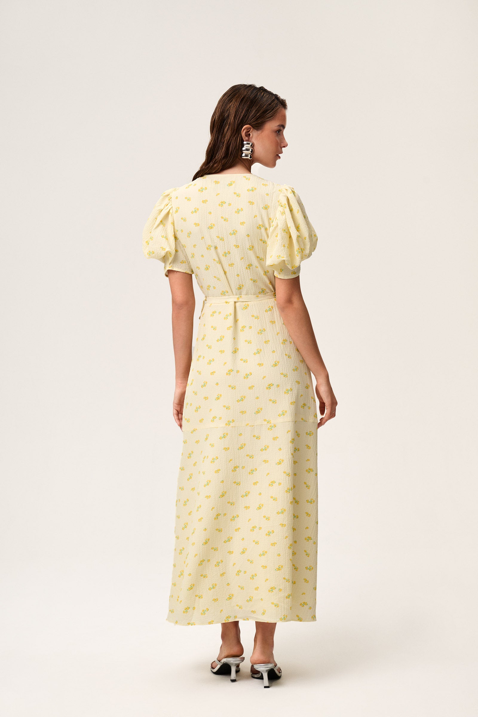 Ferrone Midi Dress image