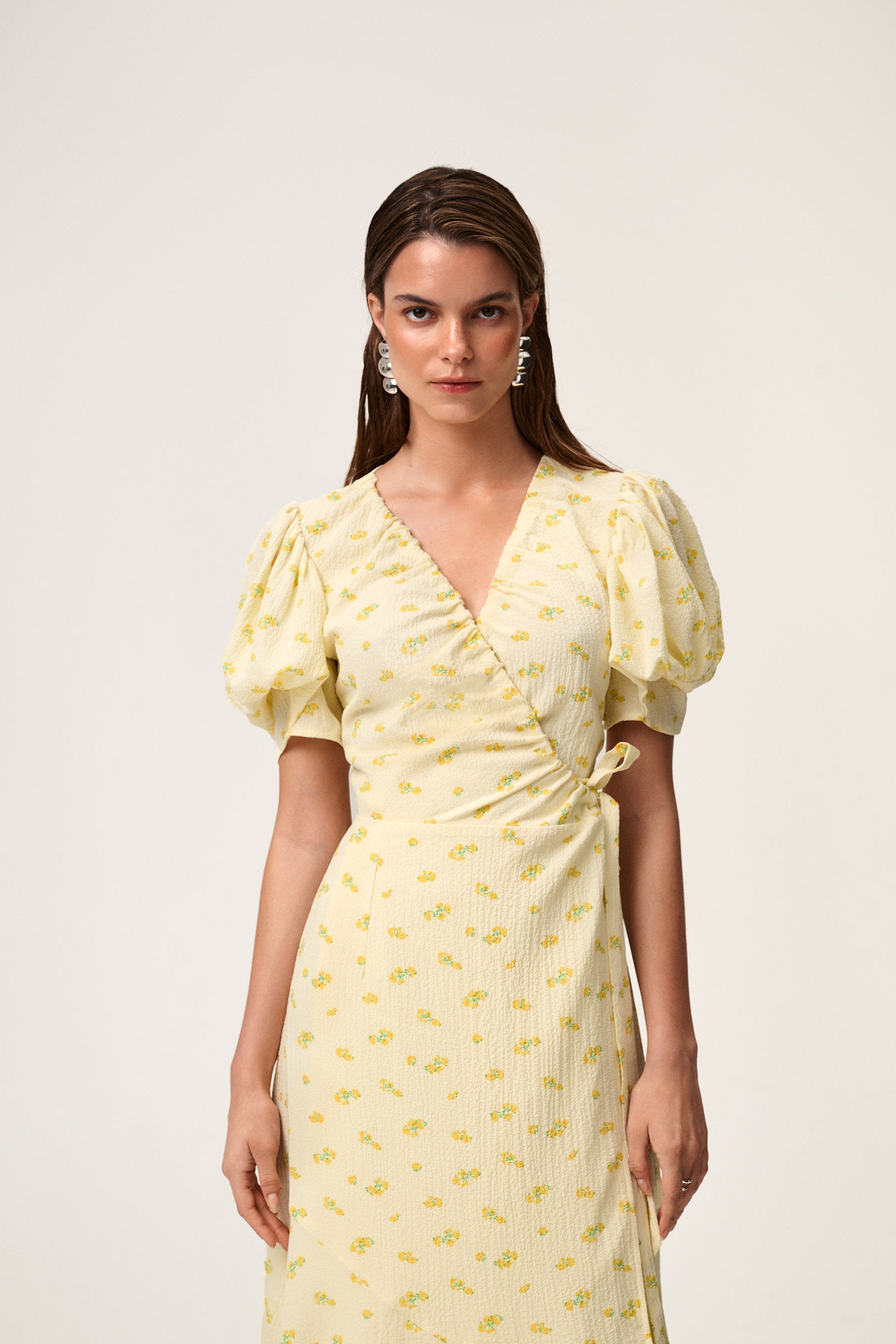 Ferrone Midi Dress image