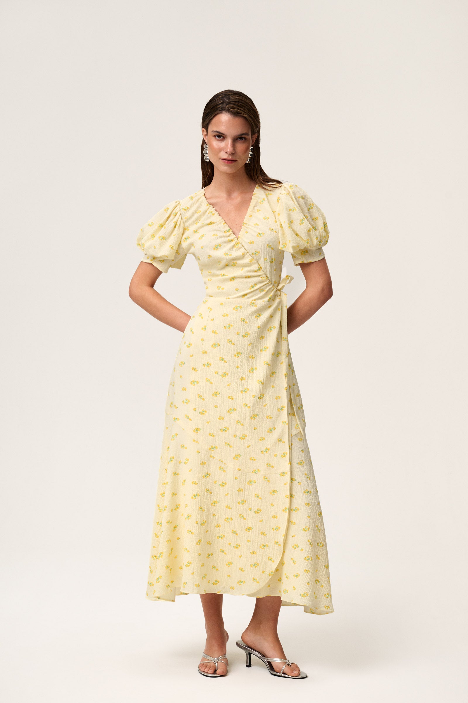 Ferrone Midi Dress image