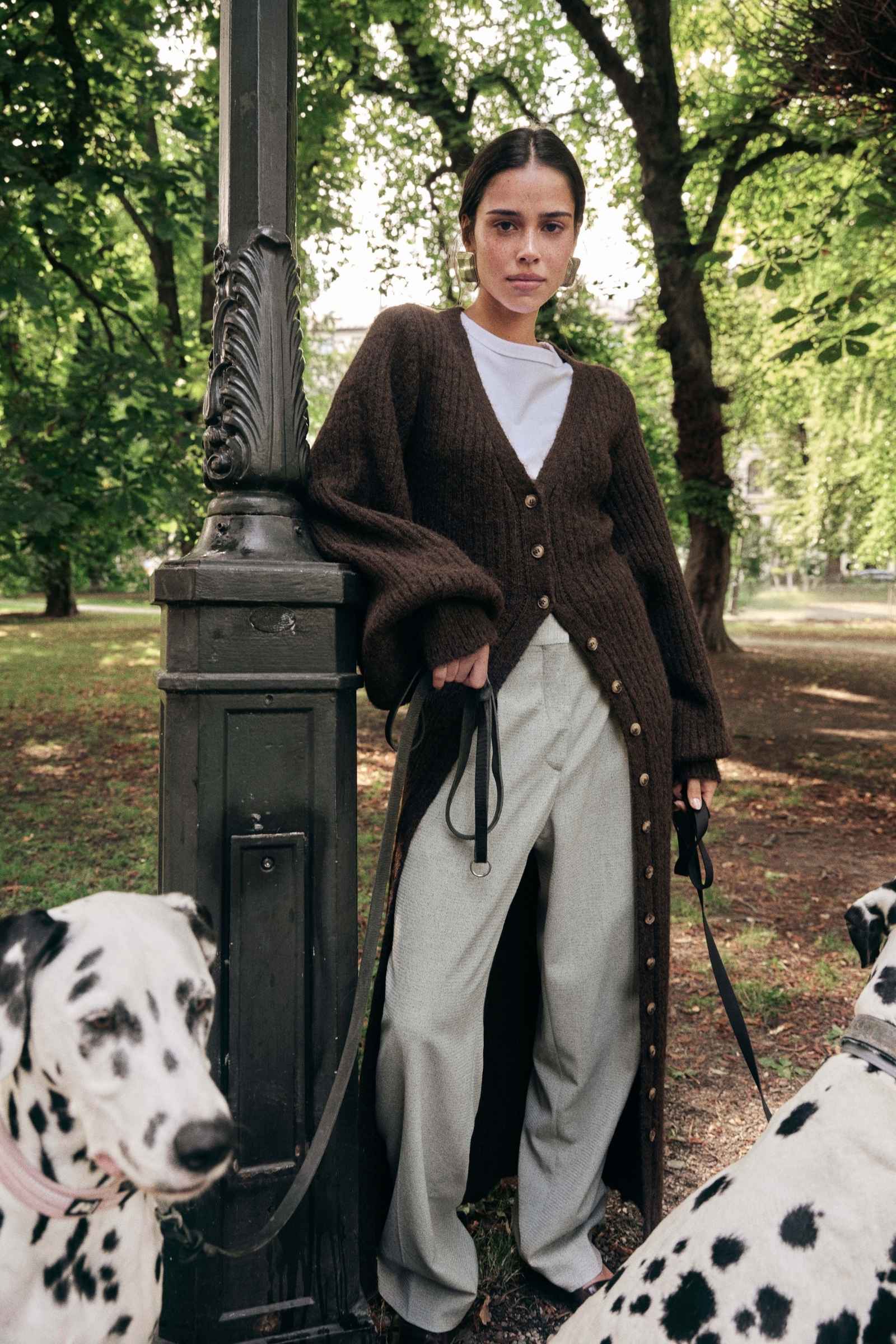 Woman in a brown knitted  cardigan and white pants standing with two Dalmatian dogs in a park. image