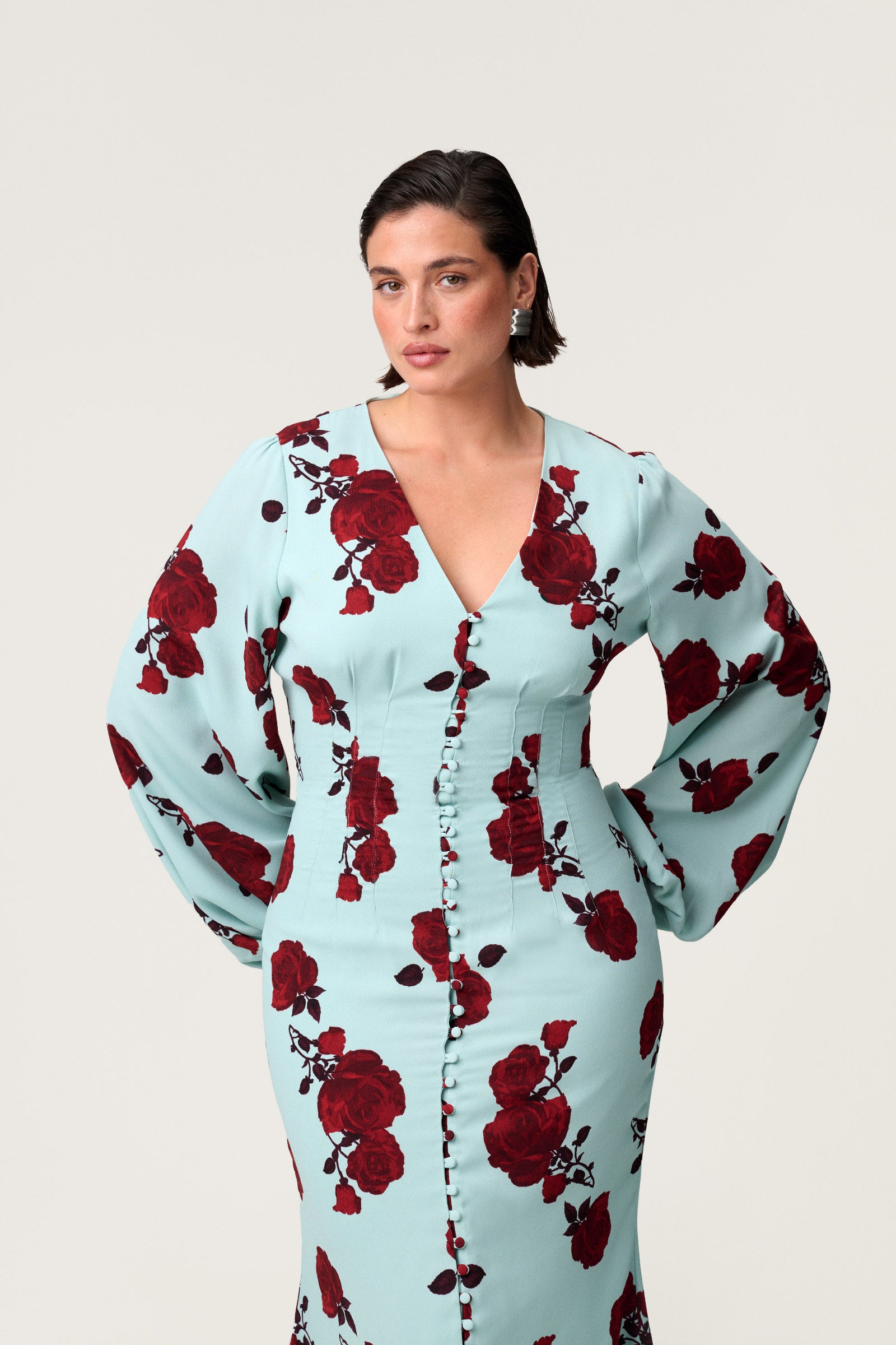 Palena Dress image