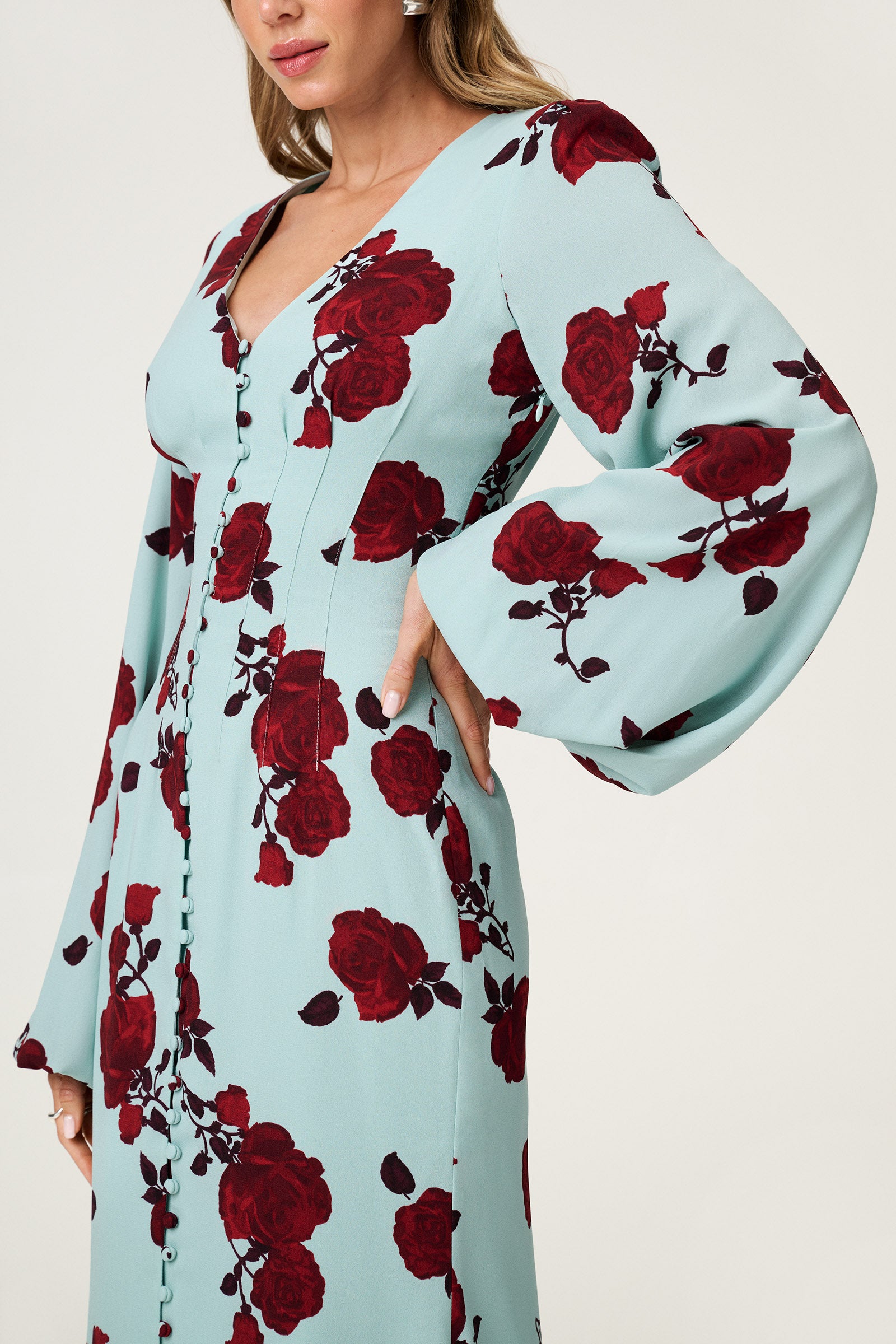 Palena Dress image
