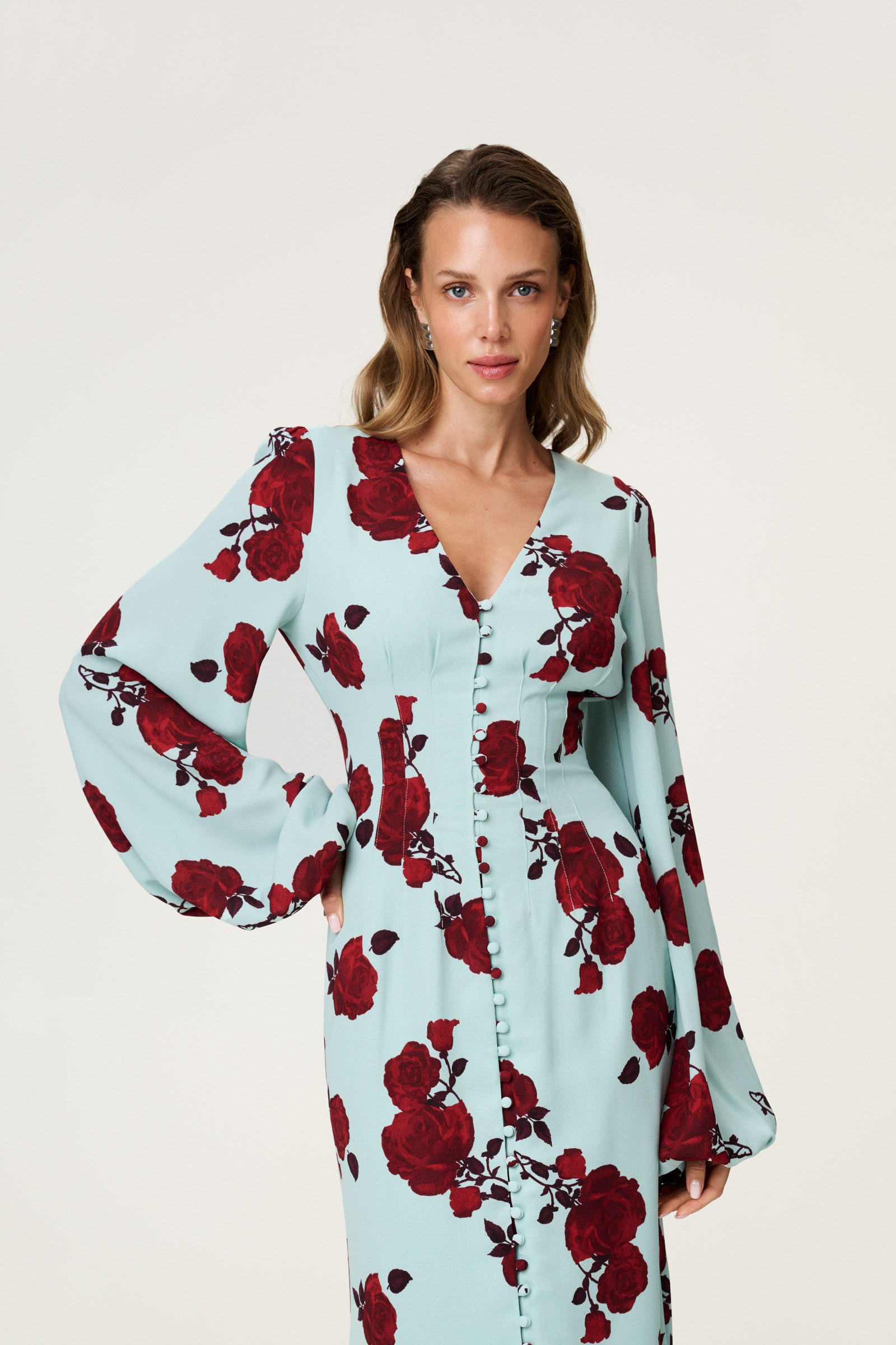 Palena Dress image