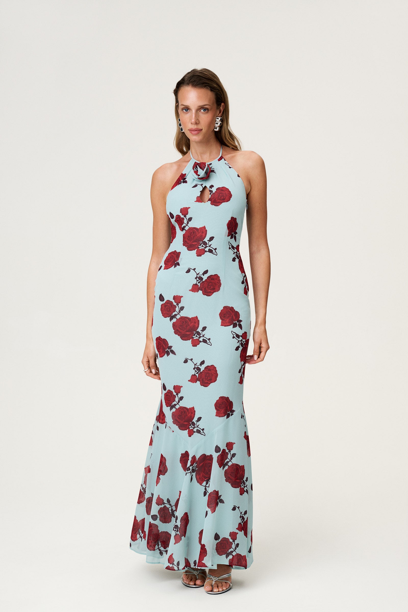 Rozzano Maxi Dress image