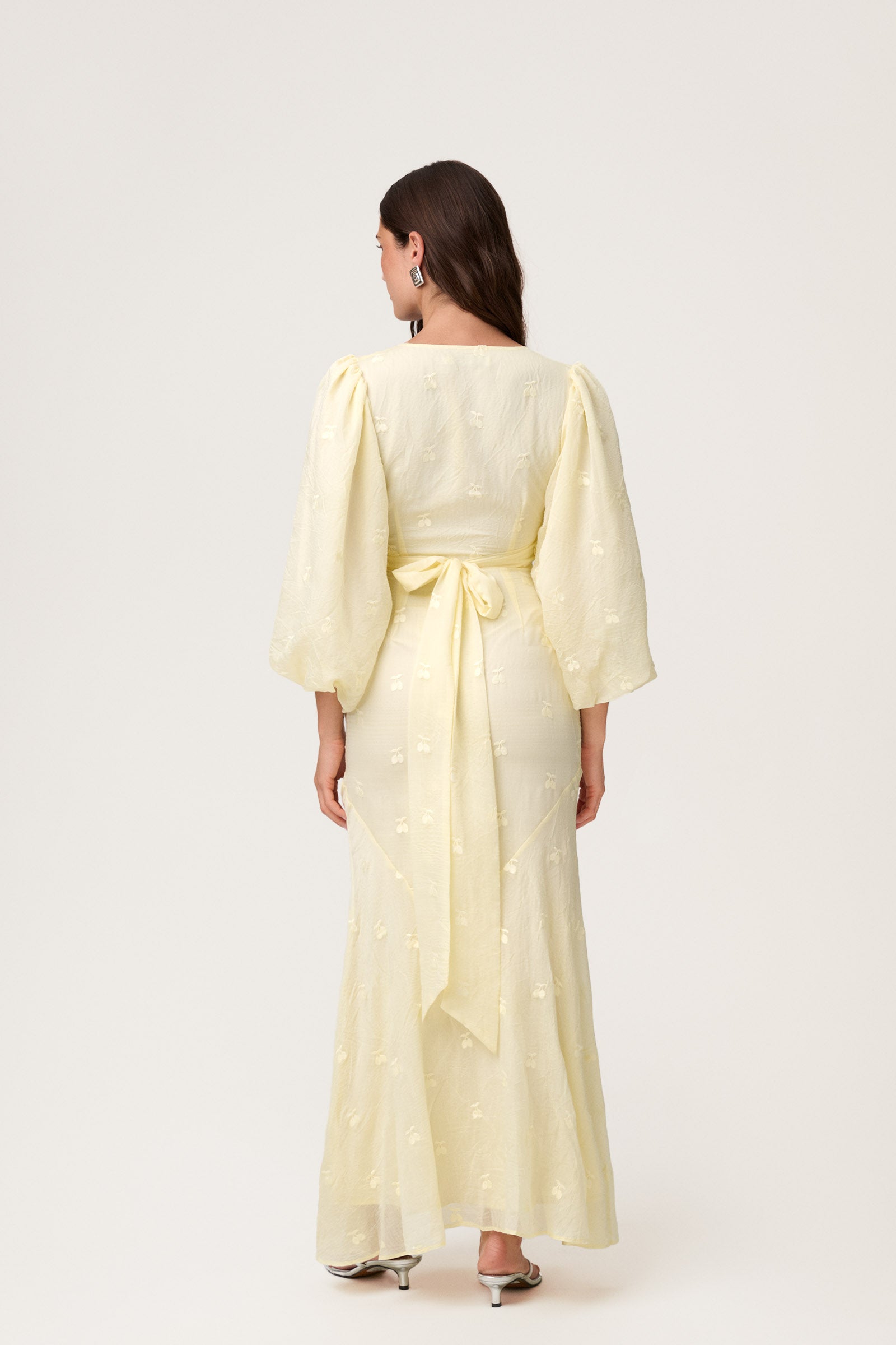 Toscana Dress image