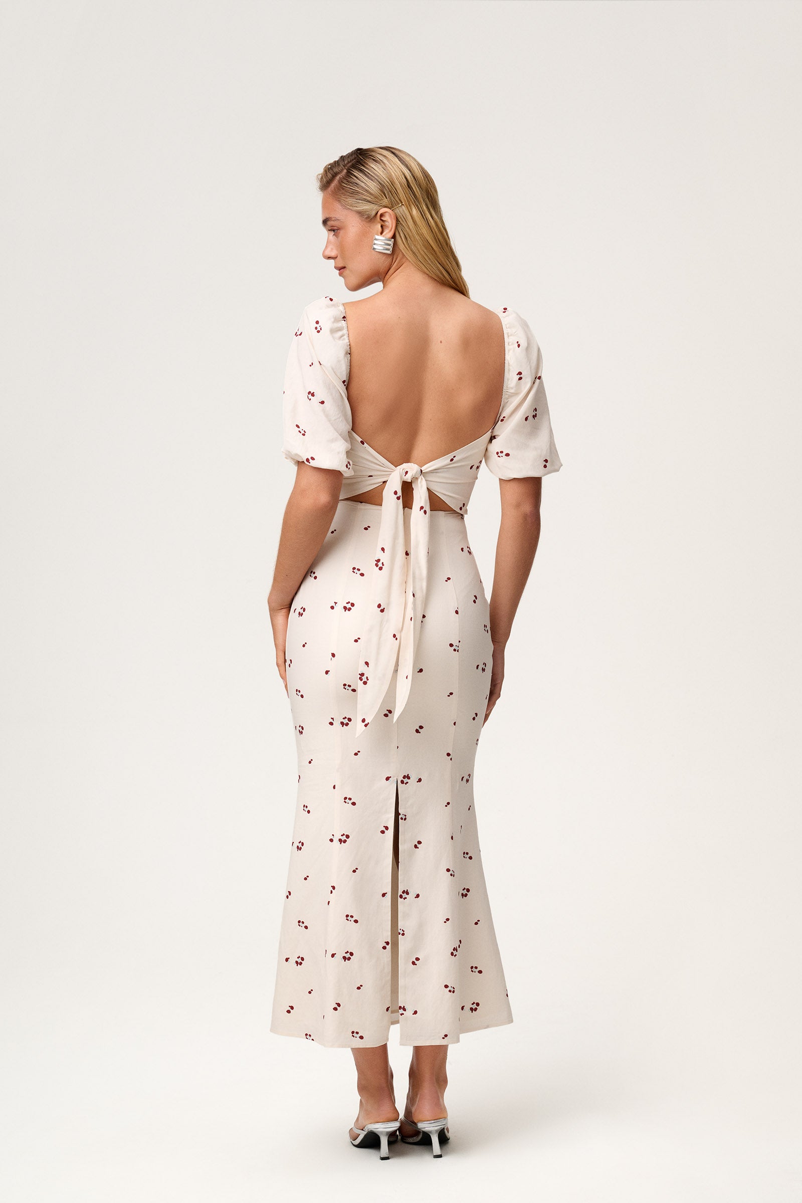 Vercelli Maxi Dress image