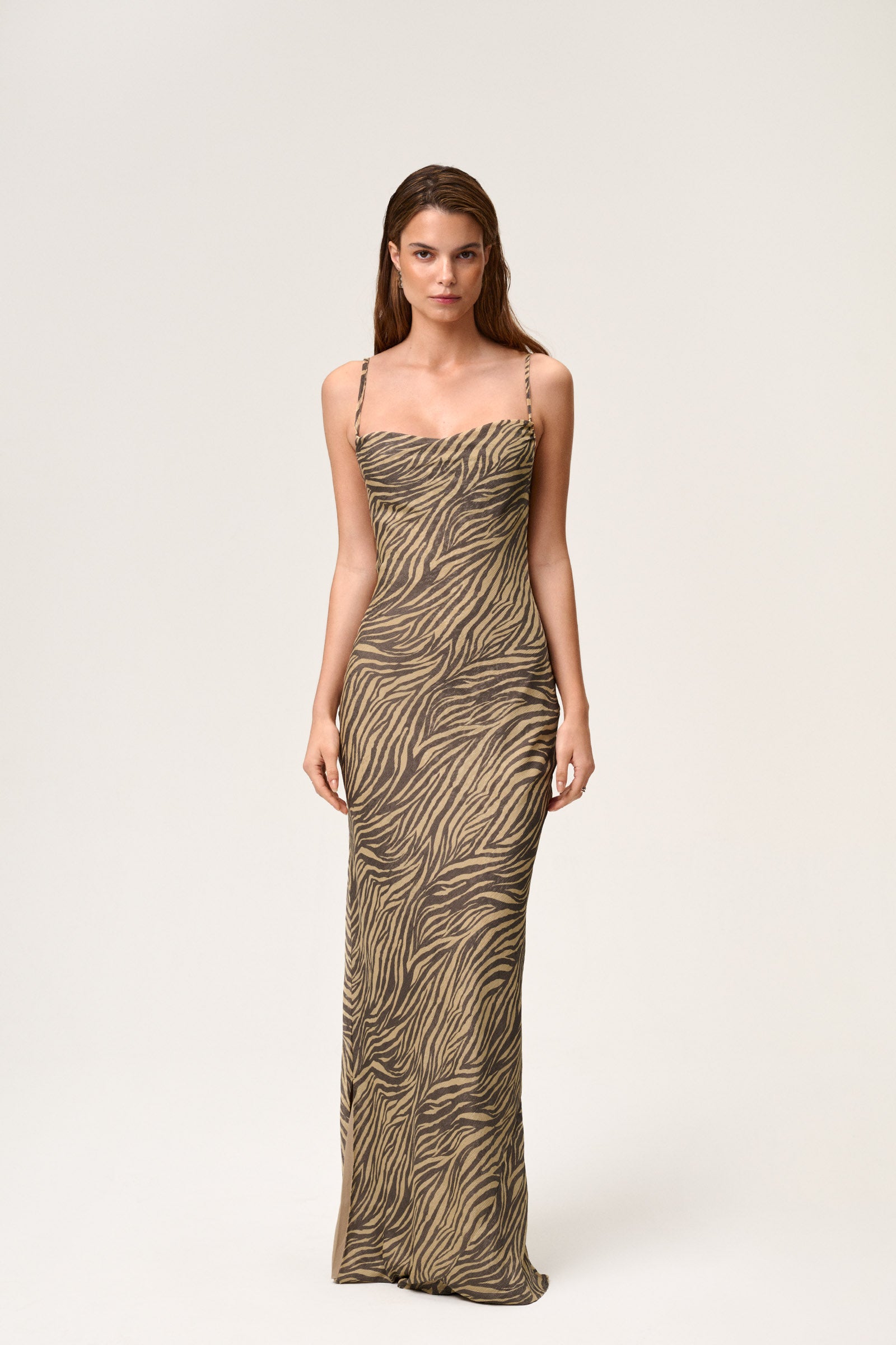 Vienna Maxi Dress image