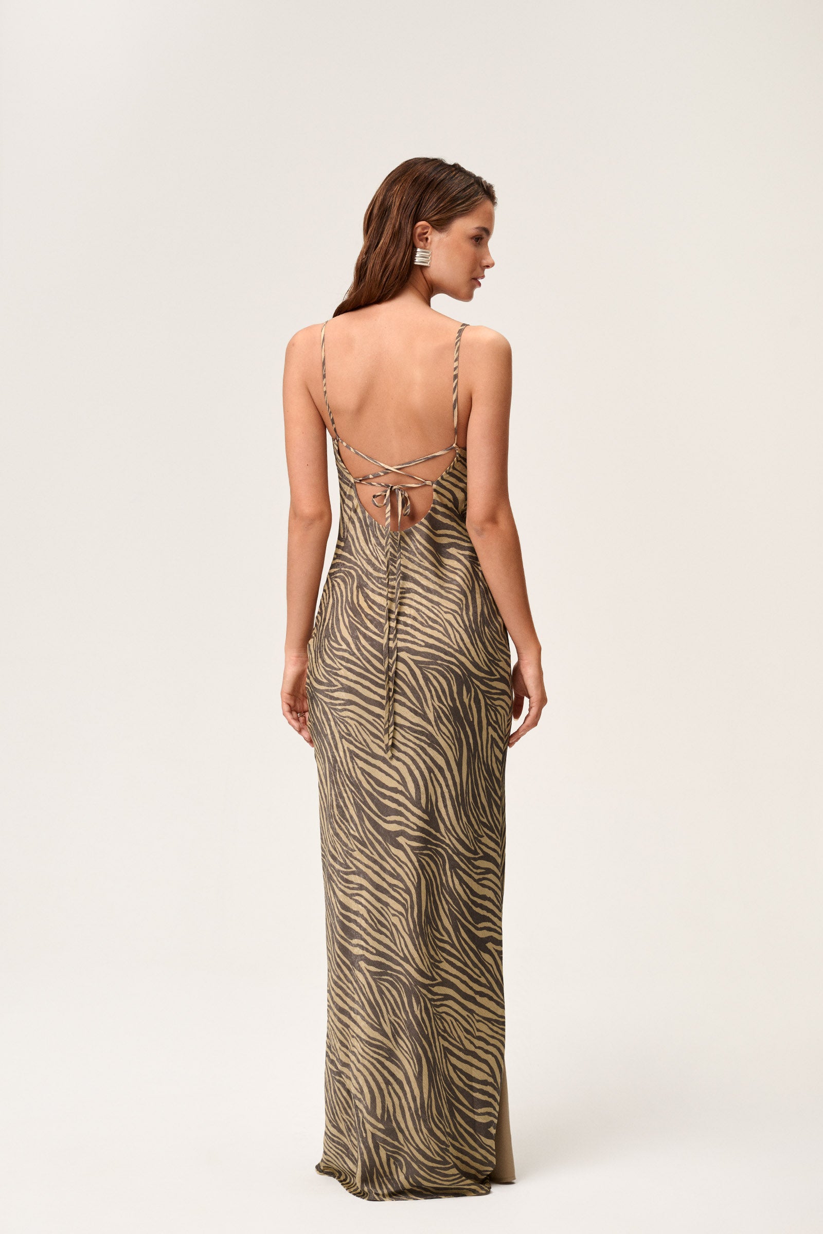 Vienna Maxi Dress image